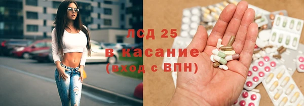 стафф Волоколамск